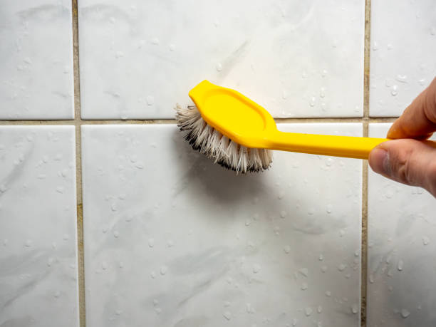 Best Residential Mold Remediation in Covington, GA