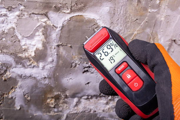 Best Black Mold Remediation in Covington, GA